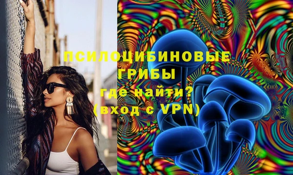 спиды Абинск